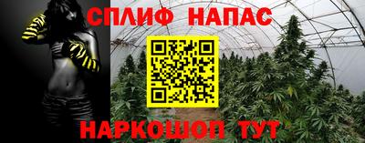a pvp Кунгур