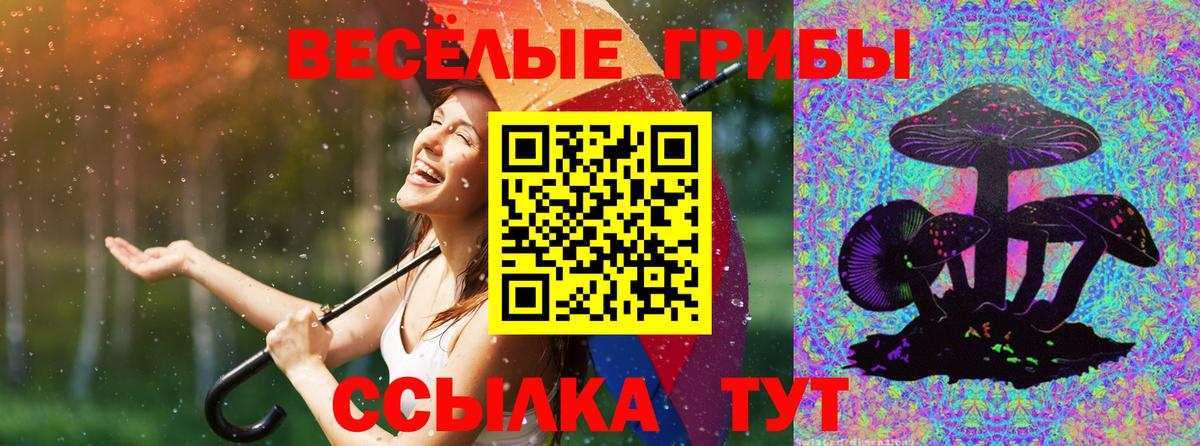 Галлюциногенные грибы Cubensis  Вход с VPN  Южноуральск 